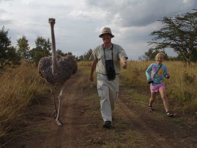 Walking with ostriches: Struisvogels zijn nieuwsgierig en houden kennelijk van gezelligheid. Hier met dochter Bregje en gids Mark, Malewa Ranch, Kenya. 